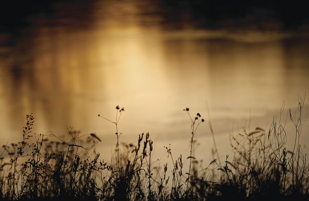 Refelections